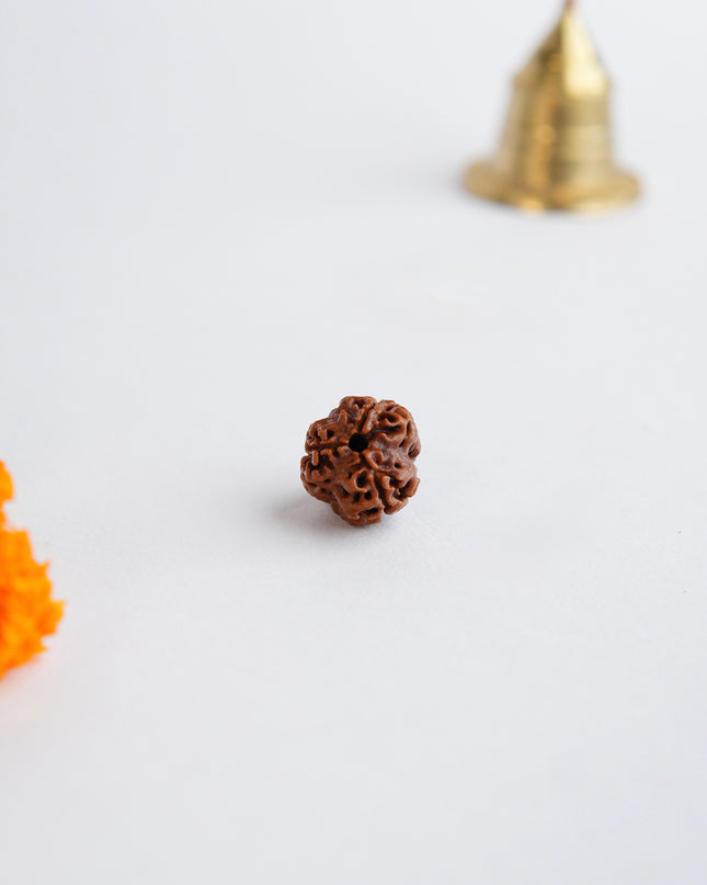 Trimukhi Rudraksha | Three-Faced Rudraksha for Strength & Confidence