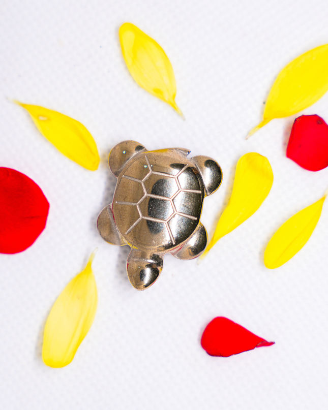 Pyrate Tortoise Showpiece | Lucky Vastu & Feng Shui Decor